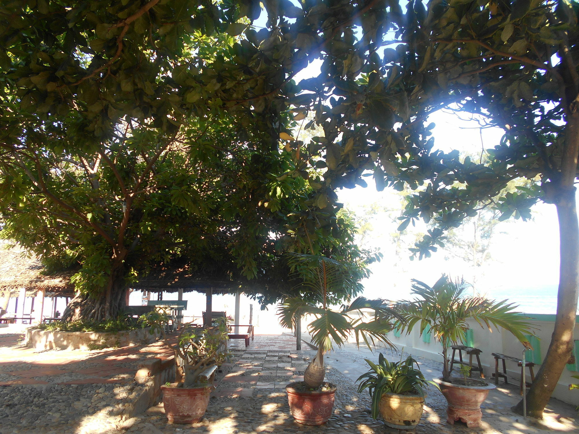 Suoi Nuoc Resort Mũi Né Extérieur photo